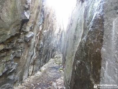 Gran Cañada-Cerro de la Camorza; grupos de personas para viajar viaje noviembre excursion de un dia 